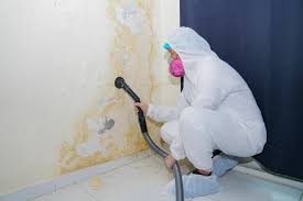 Best Mold Odor Removal Services in Colma, CA